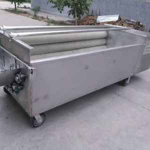 洋葱去皮星空体育官方网站