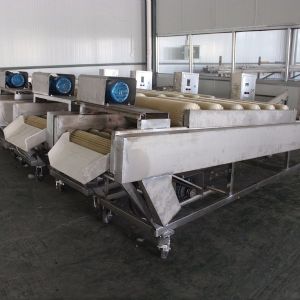土豆干洗星空体育官方网站