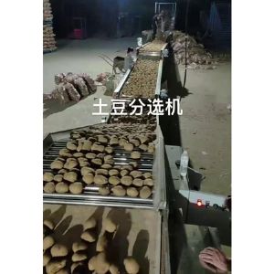 土豆分选星空体育官方网站视频